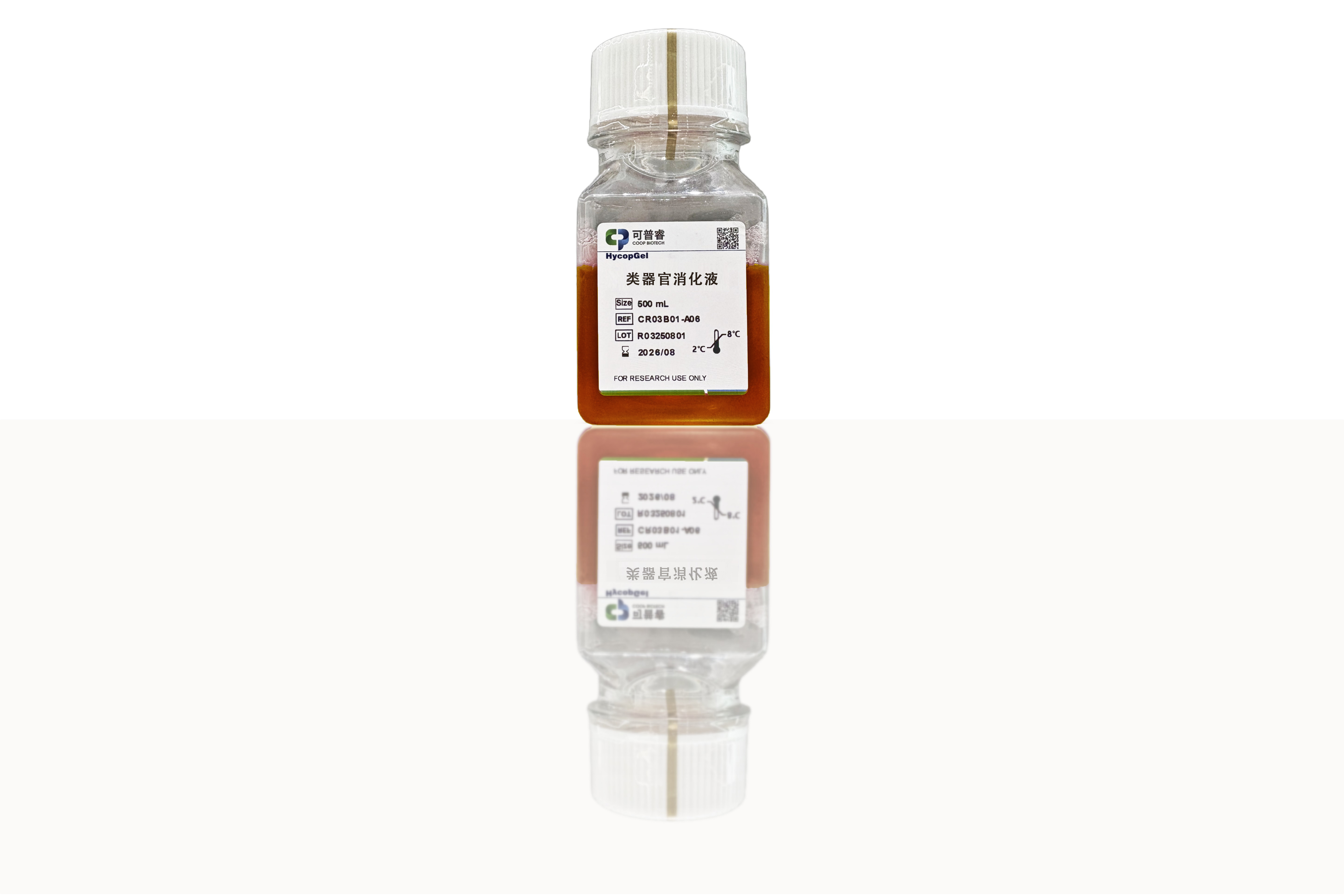 类器官消化液